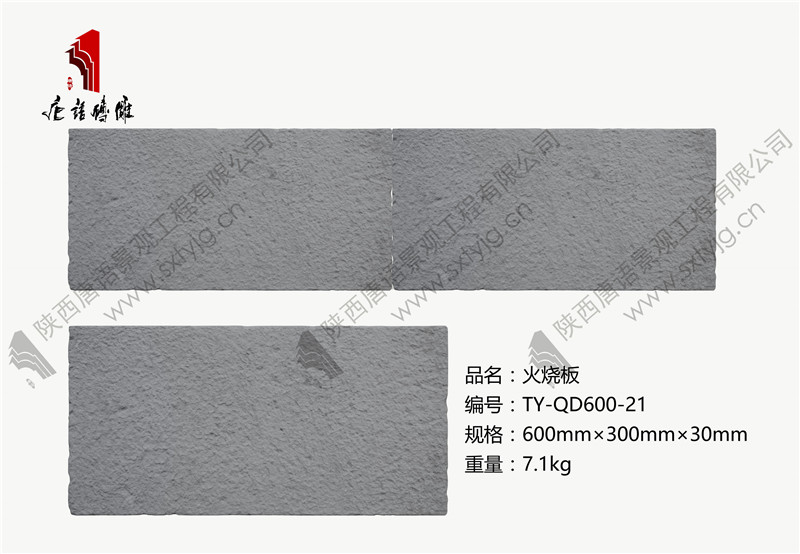 TY-QD600-21.jpg