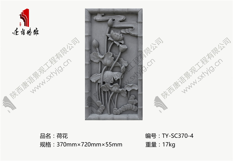 TY-SC370-4.jpg